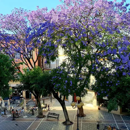 Sherryflat Senovilla Appartement Jerez de la Frontera
