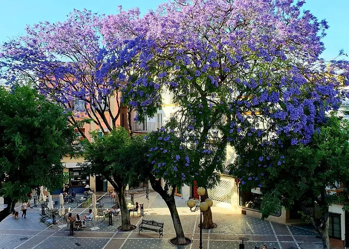 Sherryflat Senovilla Appartement Jerez de la Frontera